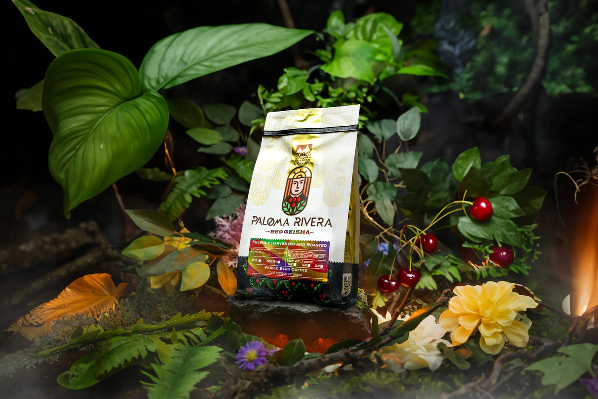 Paloma Rivera Red Geisha Coffee — Exotic Colombian Specialty Coffee